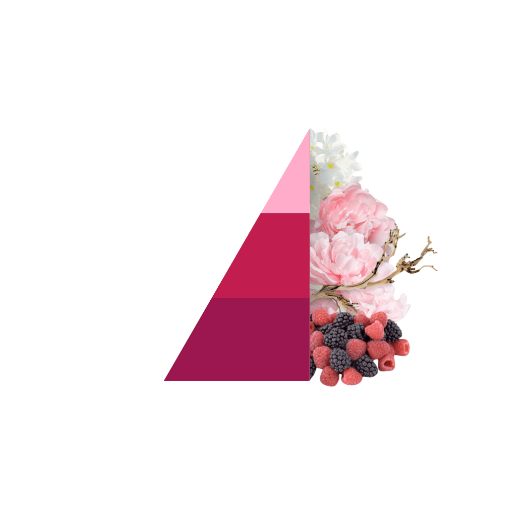 AMOUR Parfums Vse za perilo HOROMIA parfum za pranje perila PETALI DI PEONIA