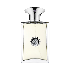 681 inspiriert von AMOUAGE - REFLECTION MAN Inspired Image